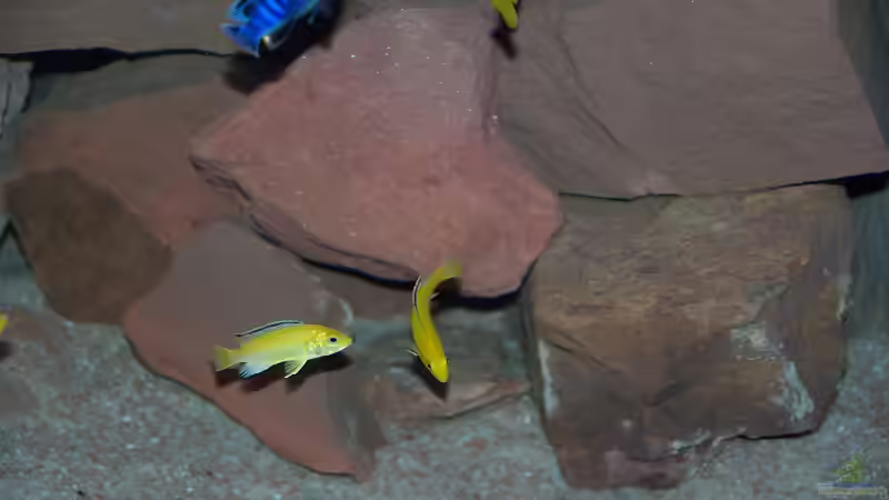 Alles erkunden von Duder Malawikus (30)