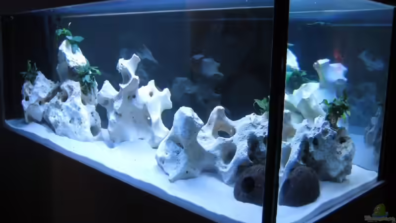 Alles fertig, inkl. Beleuchtung von Meike_R (5)