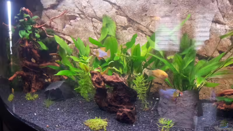 alles im einklang von Gokel79 (2)