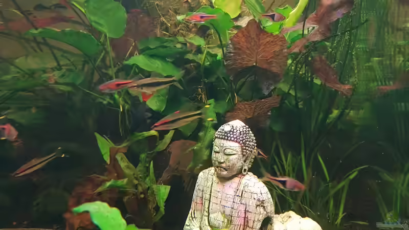 Alles im Wandel  von Manuela&Mike (5)