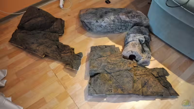 Alles ist bereit! von Vladi (21)