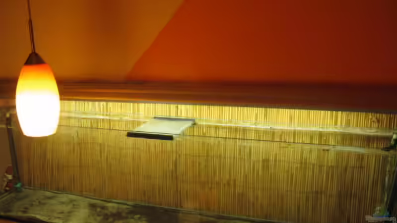 Alles ist raus 28.12.10 von Andrea (11)