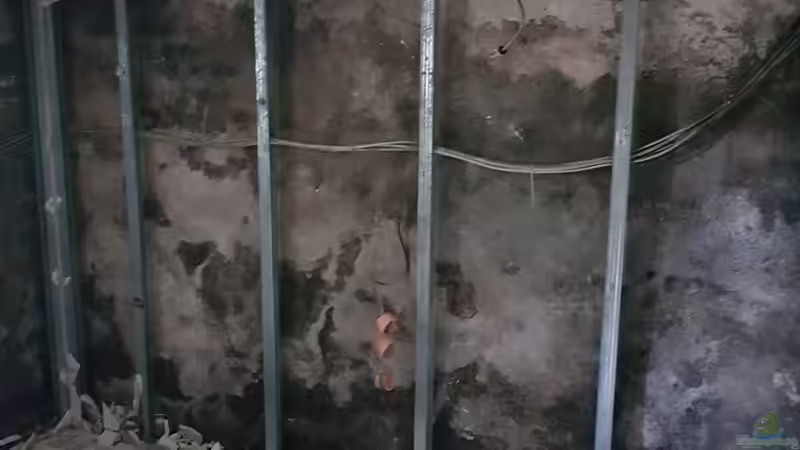 Alles muss raus. von Thomas Michel (15)