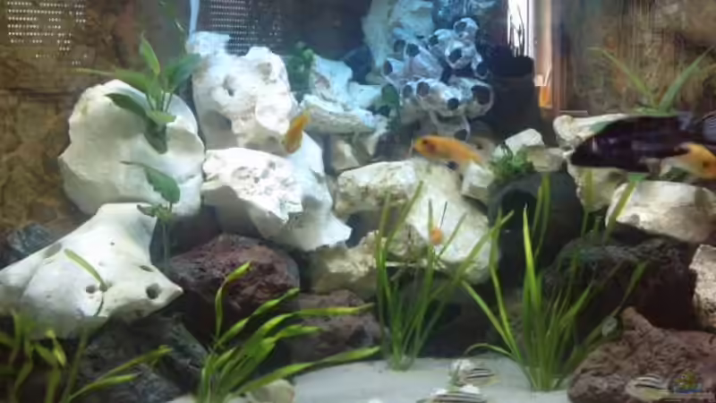 alles neu macht der mai von Christian P. (1)