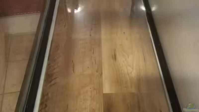 Alles neu verklebt... von Stefano83 (5)