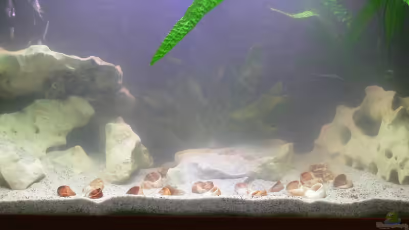 alles noch in Rohzustand!!!?? von DominikZ (5)