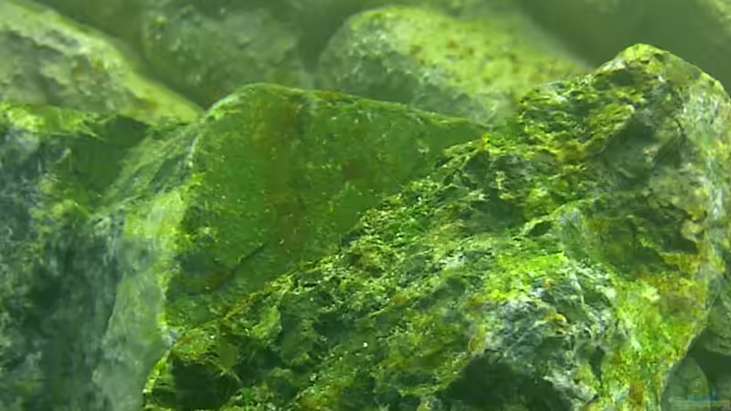 Alles toll und dann kam das !!! (Bild 2) von Volker Nagels (5)