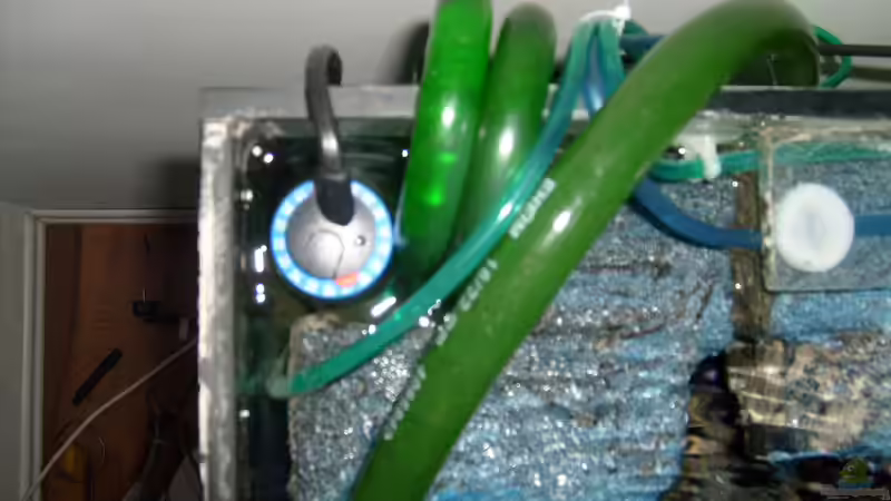 alles versteckt von JAMES-JONES (5)