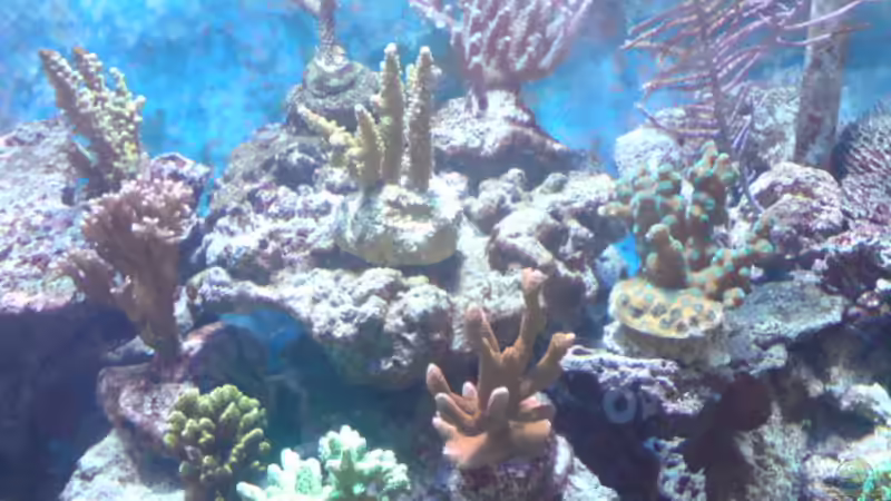 alles wachst alles super von Daniel Reichl (15)