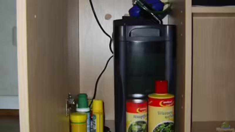 Alles, was du wissen musst, bevor du deinen Aquariumfilter wechselst