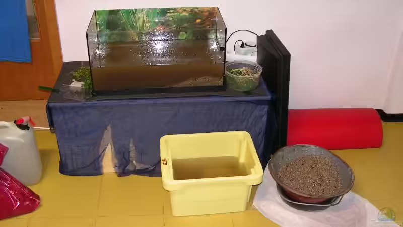 alles was ging, wurde ausgekocht von Manuela Vogt (2)