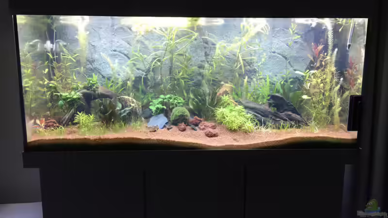 Alles wird irgendwann gut ;)