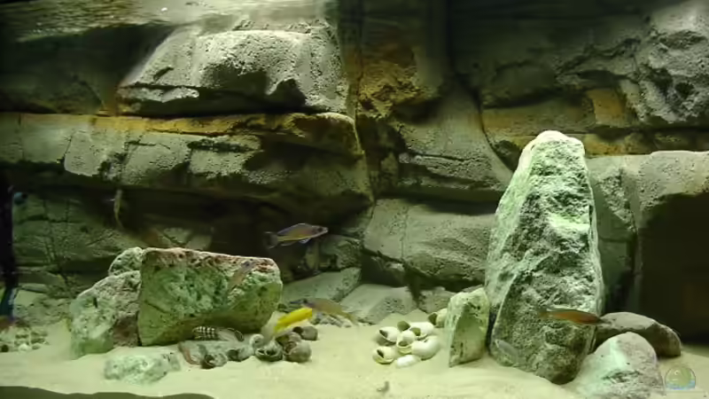 Alles wirkt noch ziemlich kahl und steril, aber so sieht man noch mal die ursprünglichen von Georg Botz (6)