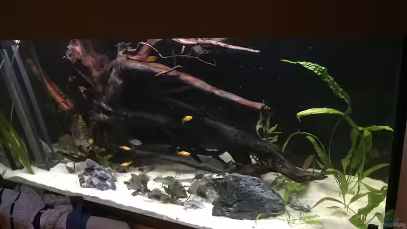 Alpensteine von Basti@ (18)