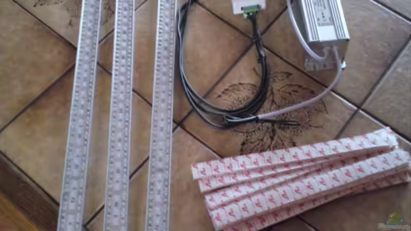 Als Beleuchtung kommen immer noch die LED-Balken der Firma Lum-Light zum Einsatz, der Tageslichtsimulator aber nicht mehr allzulange. von GGuardiaNN (67)
