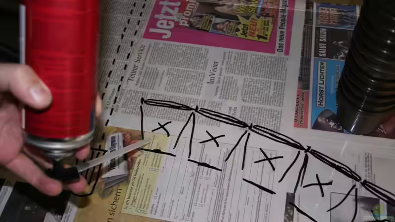 Als erstes werden die Vasen fixiert von @mazonas (27)