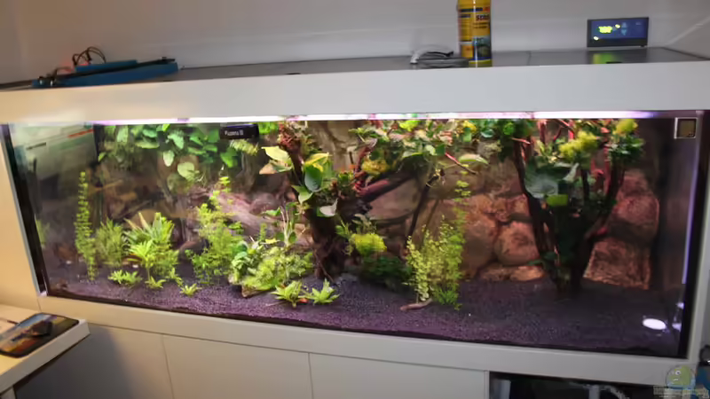 Als Nachtaufnahme gemacht von Night2016 (1)