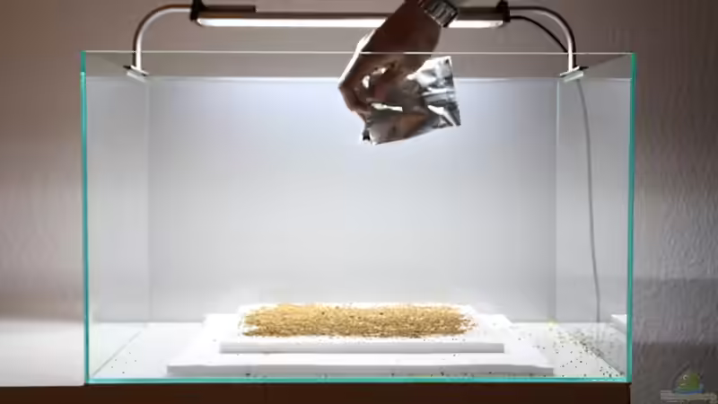 Als nächstes streue ich Elos TerraZero auf die Fläche, die später bepflanzt werden von Arami Gurami (4)