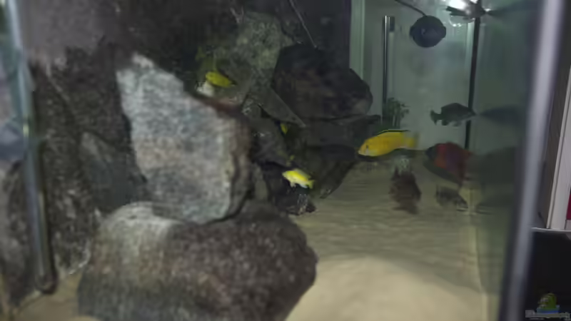 alt_Länge von Links von Ayahuasca (4)