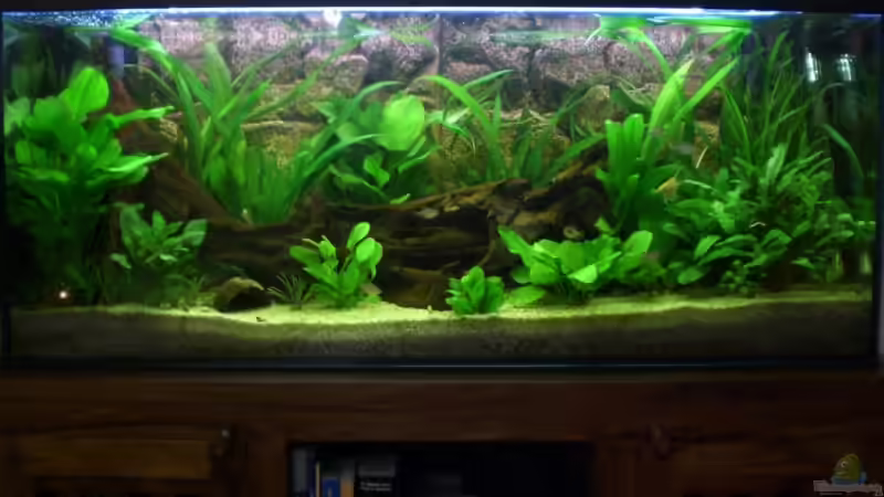 alt von Andreas Haase (3)