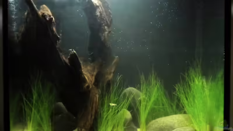 alt von Benjamin Hamann (2)