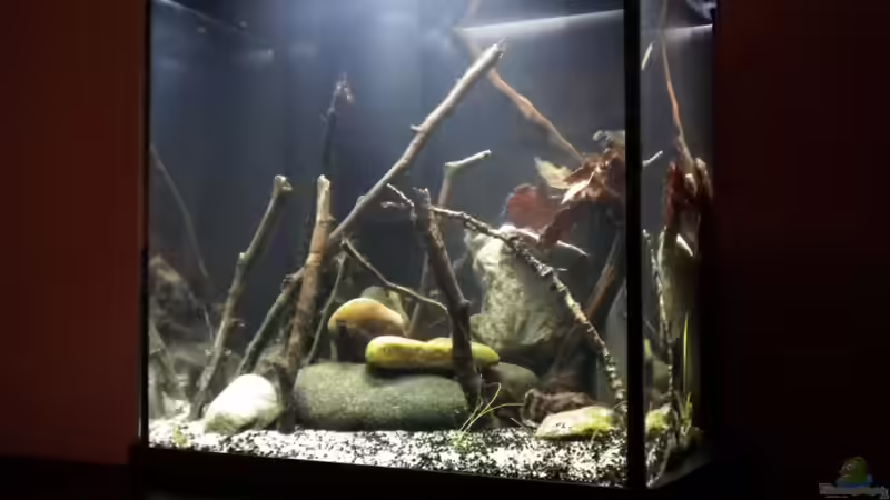 alt von Benjamin Hamann (2)