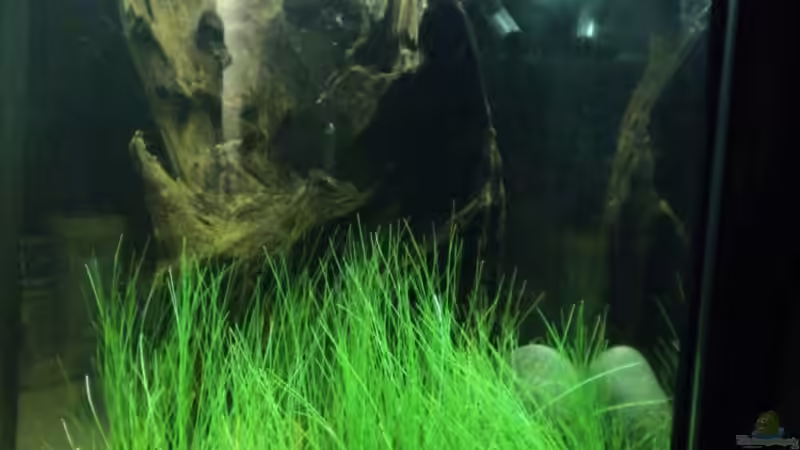 alt von Benjamin Hamann (3)