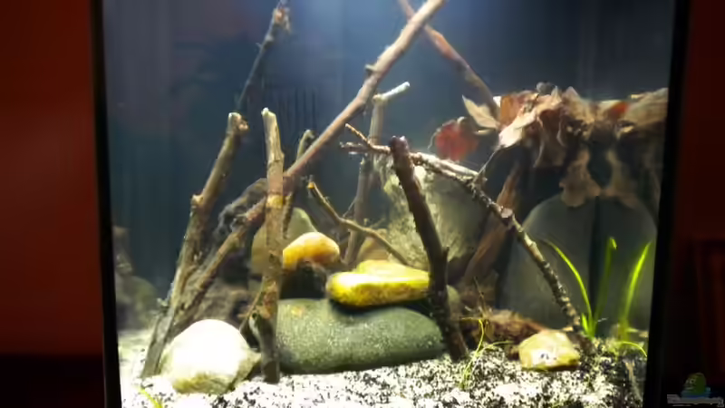 alt von Benjamin Hamann (4)