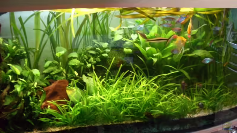 alt von David Nachtweih (6)