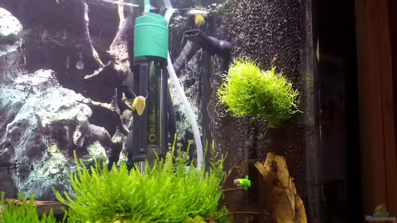 Alt von Lucky3310 (12)