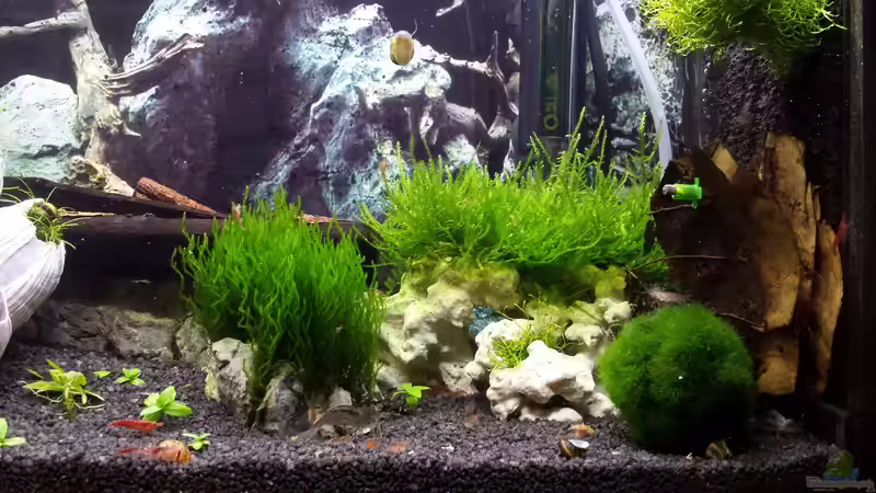 Alt von Lucky3310 (15)