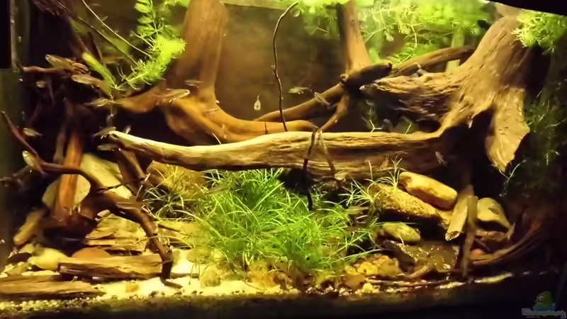 alt von Markus J. (4)