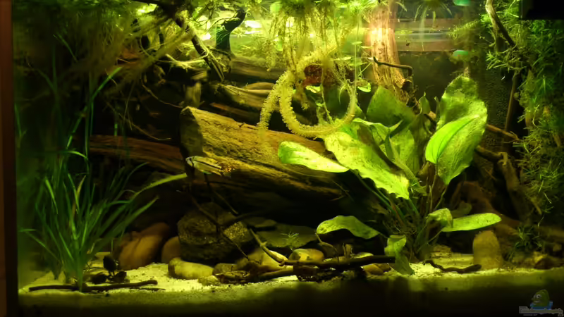 alt von Markus J. (5)