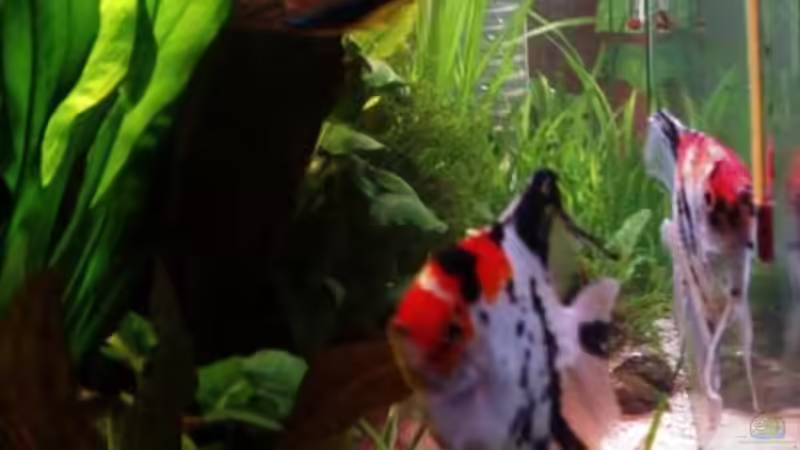 Alt von Sebastian Becker (2)