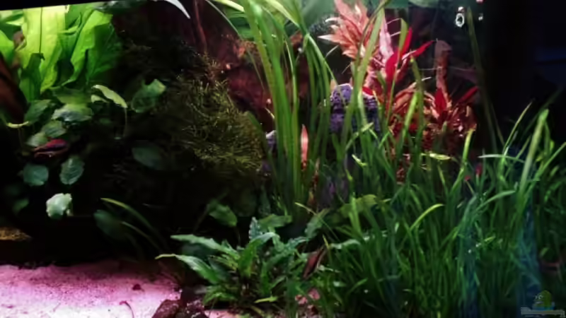 Alt von Sebastian Becker (3)