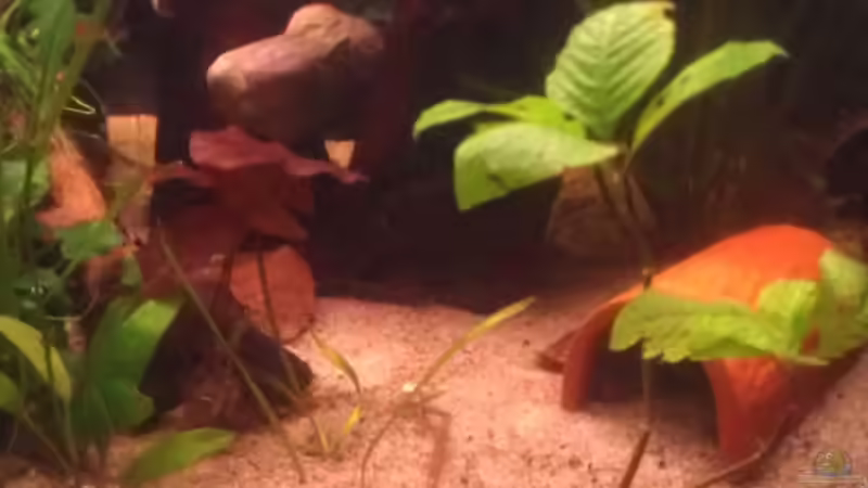 alt von Tobi L. (10)