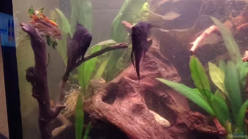 alt von Tobi L. (19)