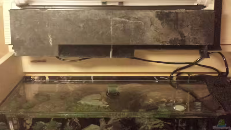 Alte Abdeckung 54L Aquarium vor dem umbau von Lucky3310 (33)