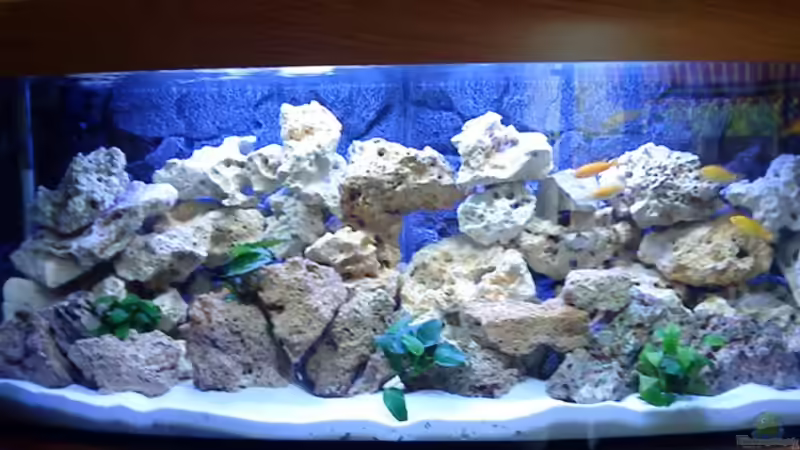 alte Aufbau von Ducky (6)