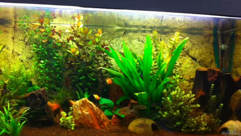 alte Ausstattung von Smiek44 (4)