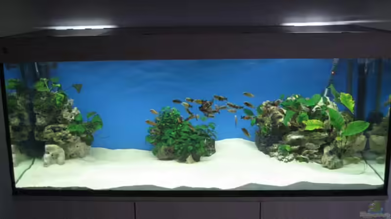 alte Becken von Sebastian Klappert (2)