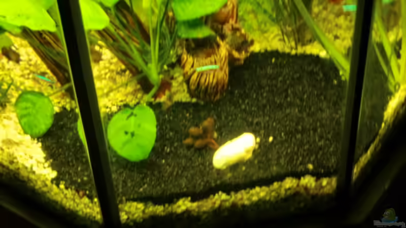 alte Buddelecke von Josef Braun (15)