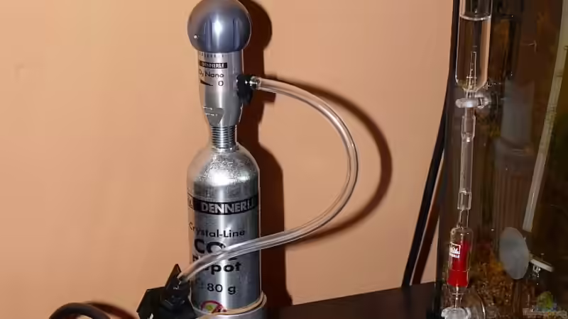 alte CO2-Anlage von Der kleine Delfin (13)