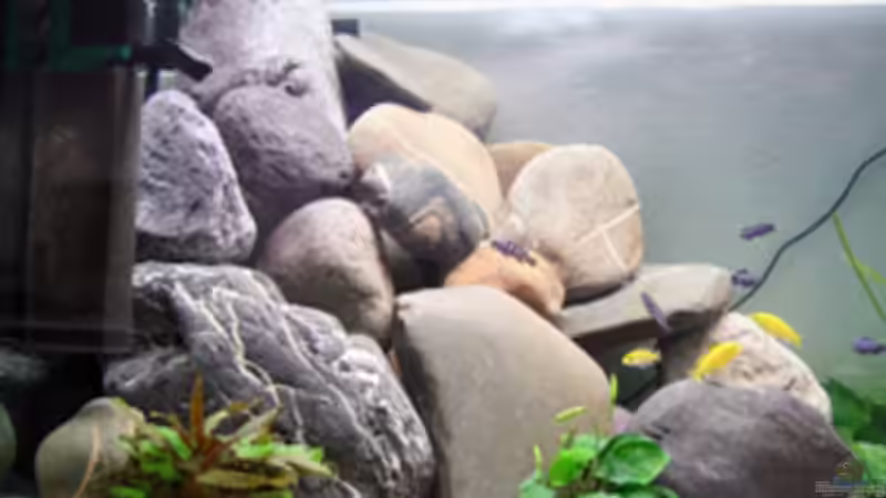 alte Deko von Yves Luchsinger (10)