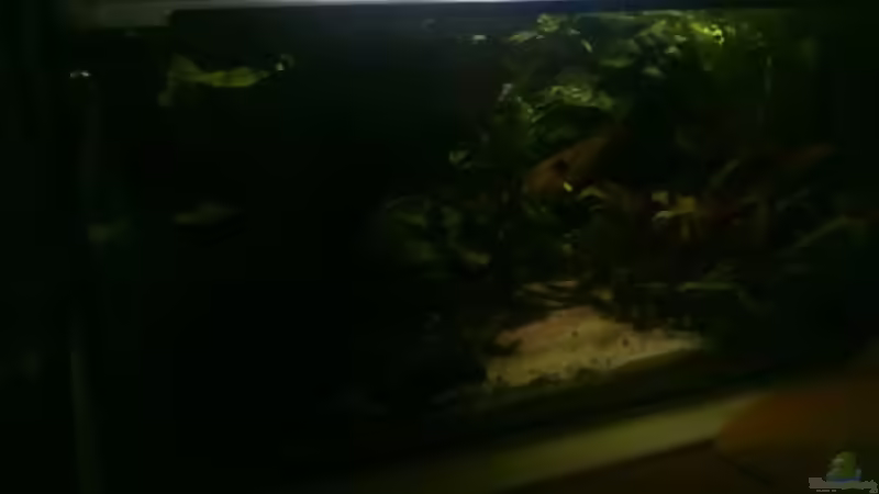 Alte Einrichtung 1 von Morten (3)