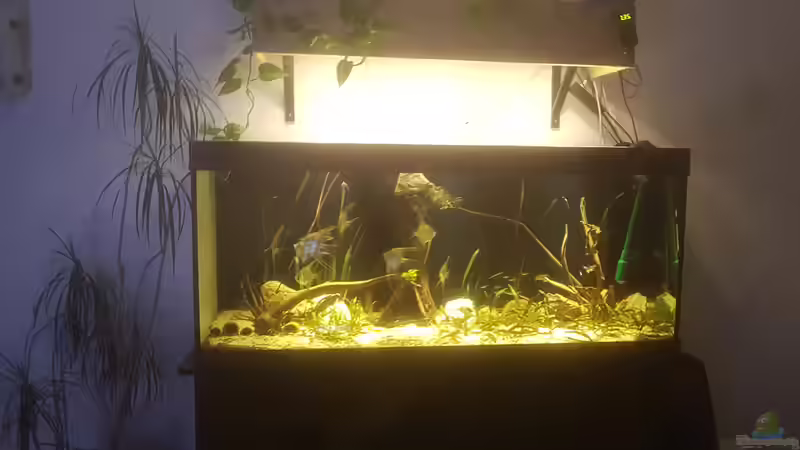 Alte Einrichtung aber da ist es komplett drauf :)  von Kevin Fruhen (2)