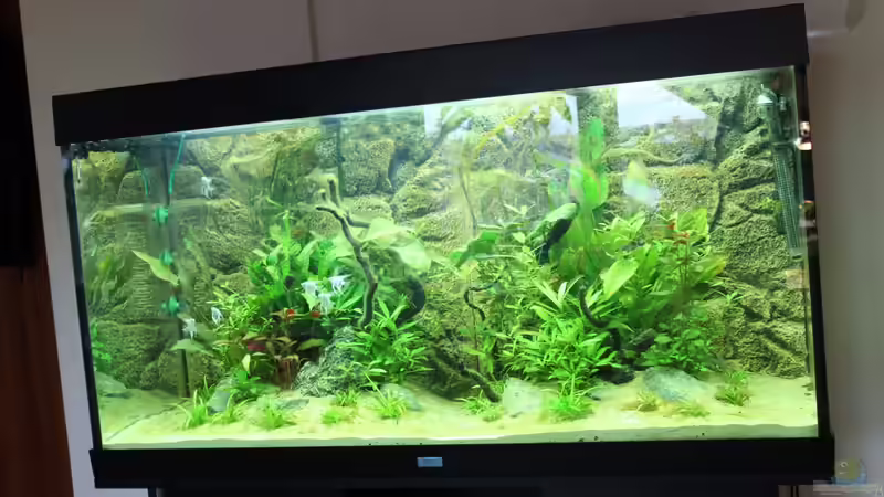 Alte Einrichtung mit der ich nicht zufrieden war von Trimmy (2)