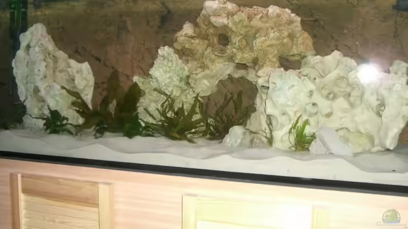 alte einrichtung von breakfastklubber (16)