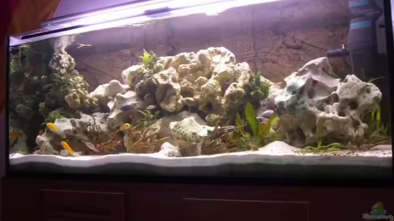 alte einrichtung von breakfastklubber (5)