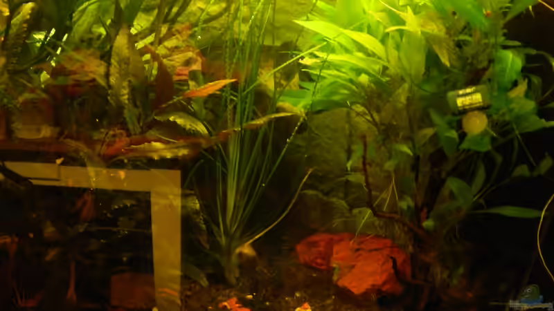 Alte Einrichtung von Heinz Von B1 (4)